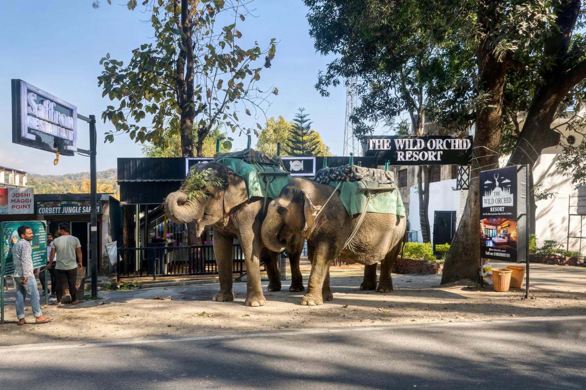 The Wild Orchid Resort Corbett Ramnagar  Exterior photo