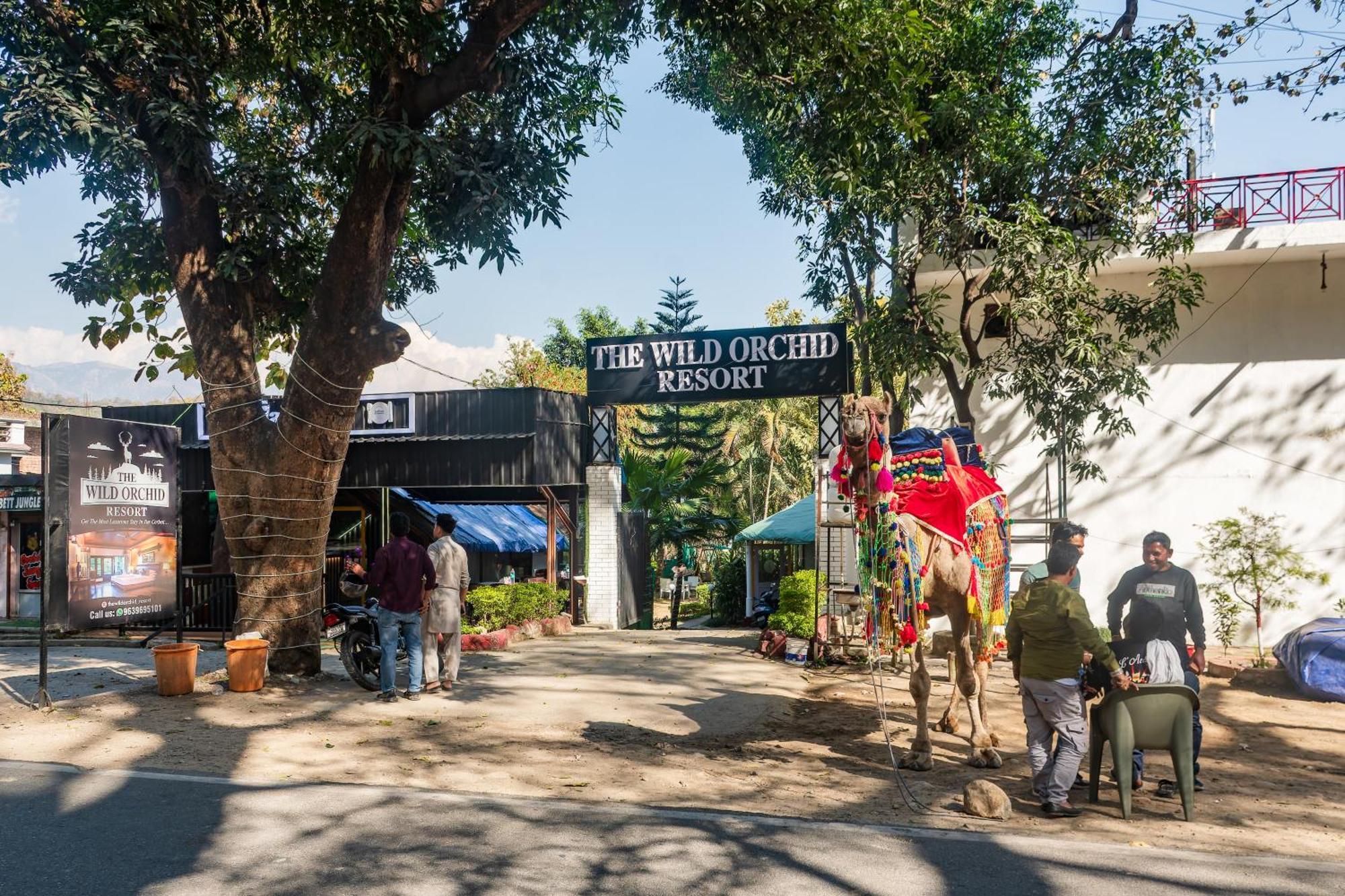 The Wild Orchid Resort Corbett Ramnagar  Exterior photo